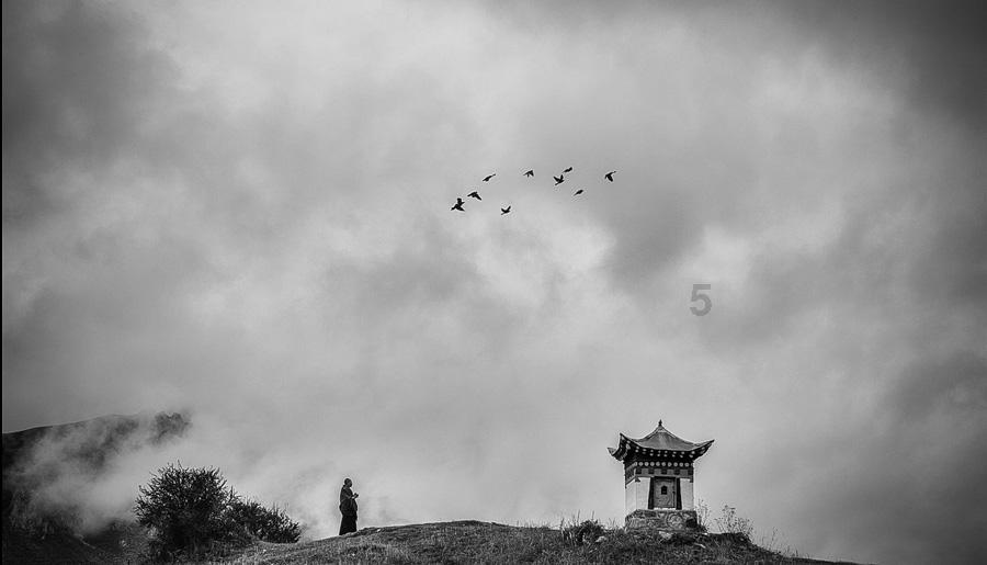 羽生结弦受中国网友喜欢的原因是什么？