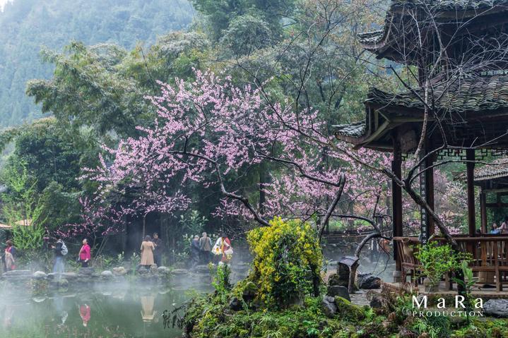 萌萌大眼公主