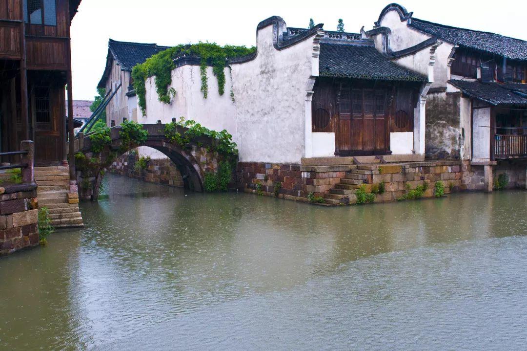 逃离阴森的岛屿